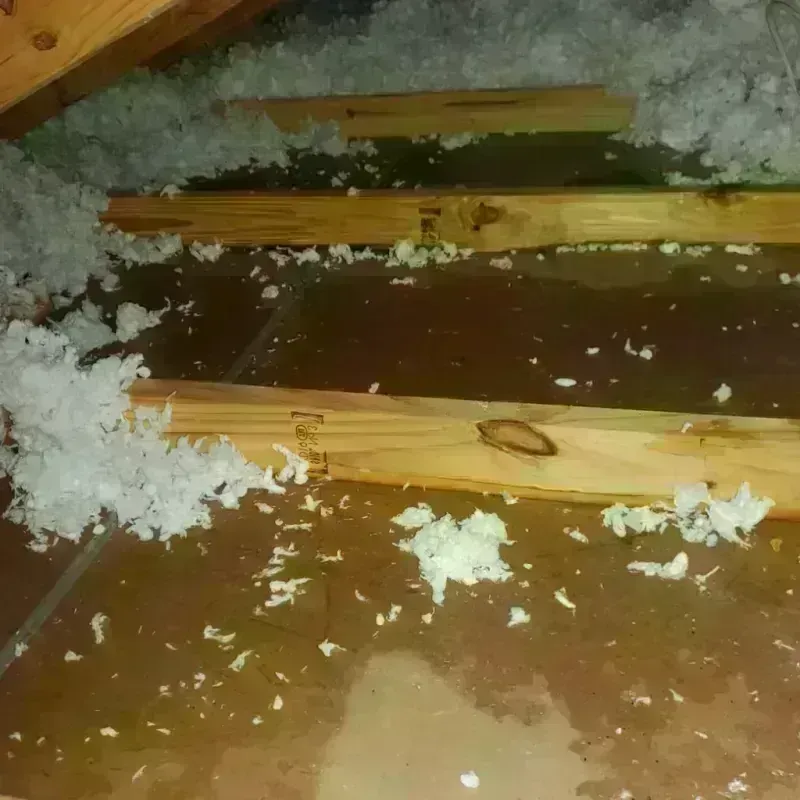 Attic Water Damage in Marshall, AR