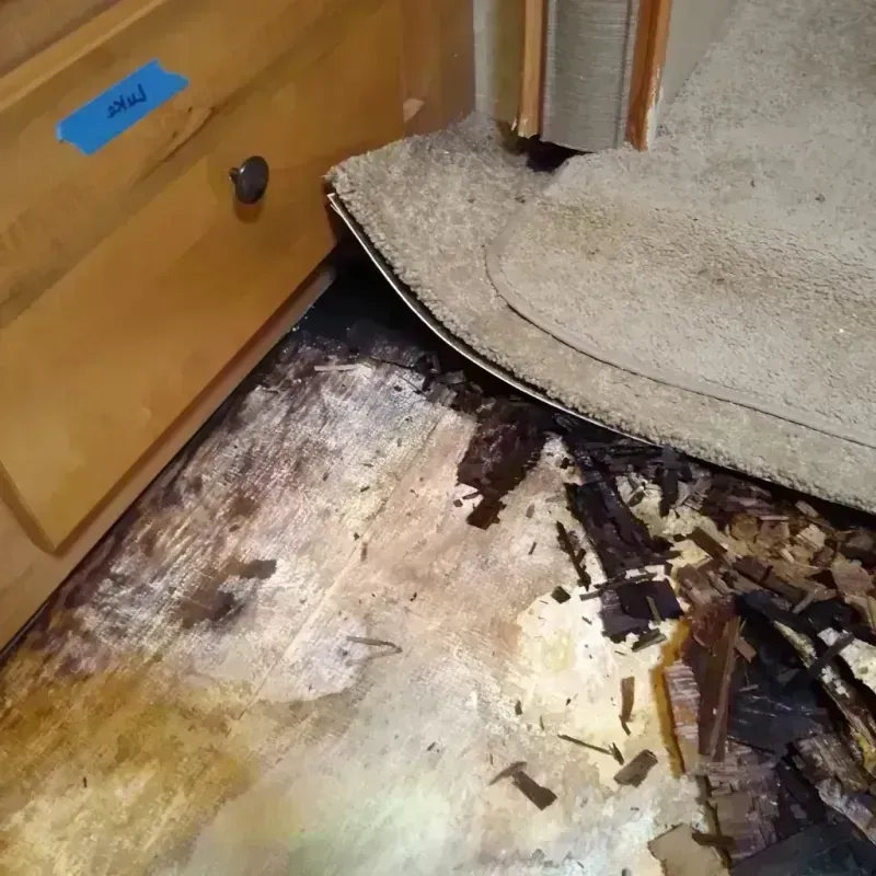 Best Wood Floor Water Damage Service in Marshall, AR